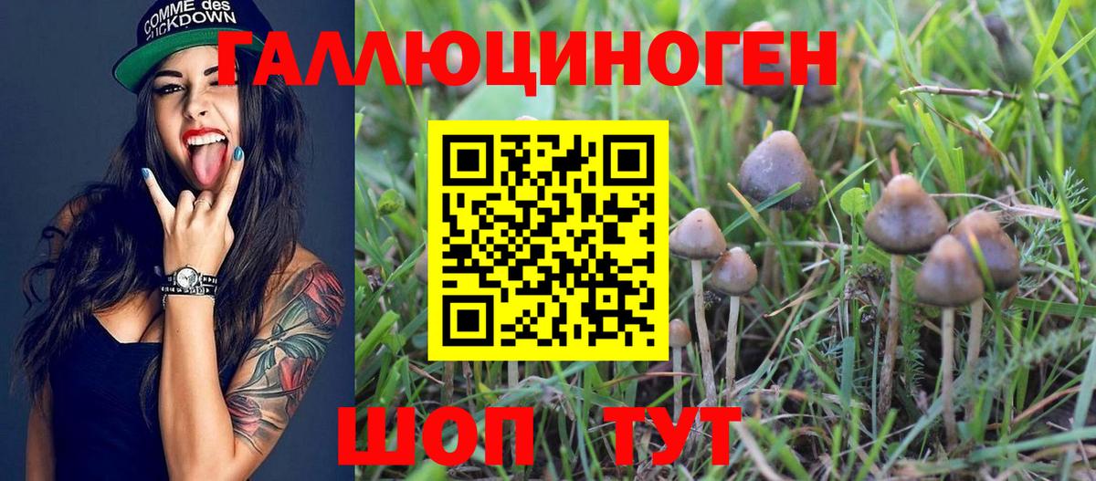 Псилоцибиновые грибы Magic Shrooms Партизанск