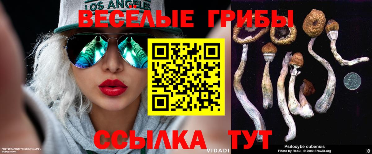 Псилоцибиновые грибы мицелий  Вход с VPN  Галлюциногенные грибы Magic Shrooms  Партизанск 